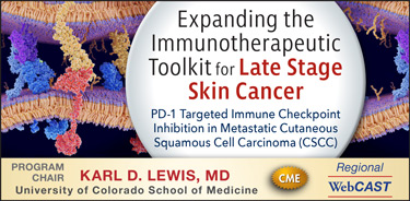 Expanding the Immunotherapeutic Toolkit for Late Stage Skin Cancer